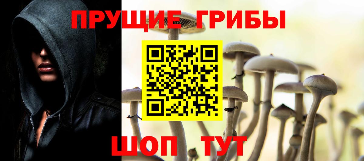 Галлюциногенные грибы Magic Shrooms Сегежа